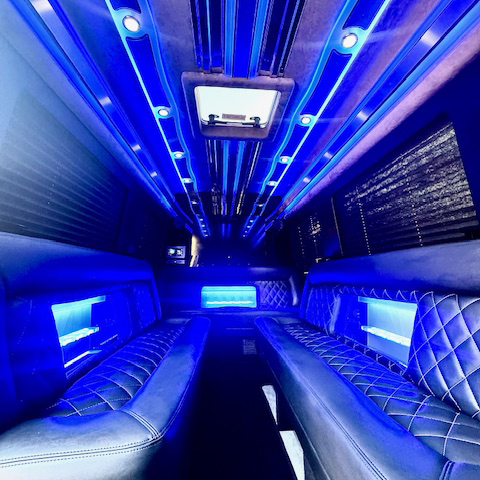 interior Mercedes Sprinter limo party bus 12-14 passenger