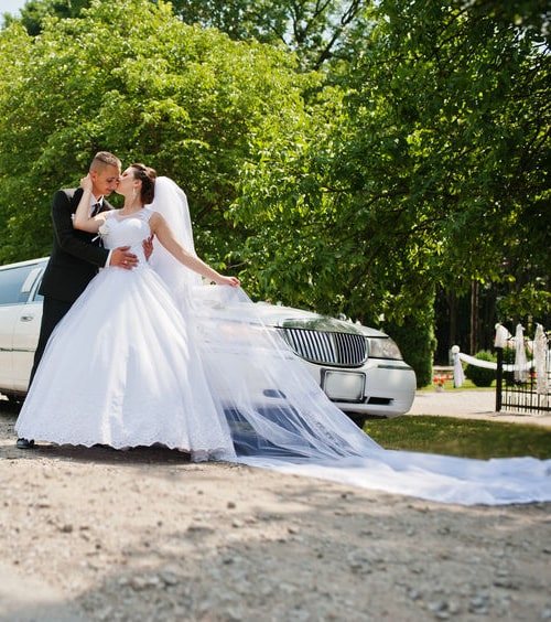 My Schaumburg Limo Service wedding
